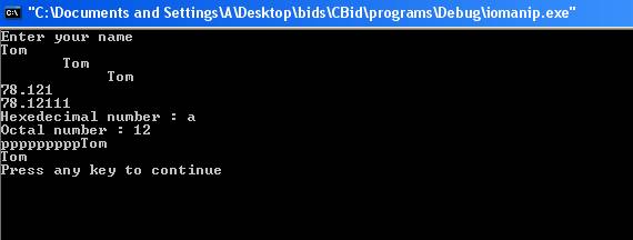 program output
